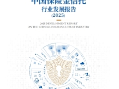 2025年中国保险金信托行业发展报告89页.pdf 
