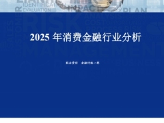 2025年消费金融行业分析5页.pdf 