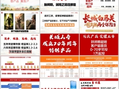 长城人寿白马关司庆版两全保险产品简介方案21页.pptx 