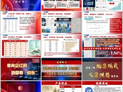 国寿鸿安宝分红型公司八大优势产品介绍亮点销售逻辑32页.pptx 