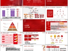中信保诚恒盈金尊至睿版开发背景产品解析案例演示16页.pptx