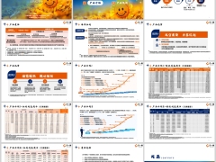 中英福满佳C款分红型产品形态责任优势示例规则20页.pptx 