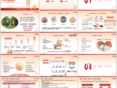 人民人寿优选嘉护2025定期寿险背景产品介绍案例规则27页.pptx 