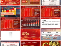 2026国寿鑫鸿福典藏版越享版三款产品形态条款案例演示24页.pptx