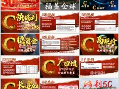 2026中国人寿鑫鸿福产品五大特色产品训练17页.pptx