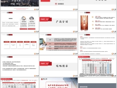 国华盛世禧年金保险尊耀版开发背景产品介绍案例演示15页.pptx 