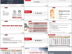 国华万年青优享版开发背景产品介绍案例演示15页.pptx 