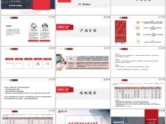国华泰山鸿年金保险分红型开发背景产品介绍案例演示15页.pptx 