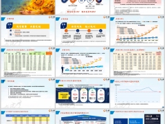 中英福满佳C款形态责任优势示例讲好分红四部曲22页.pptx 
