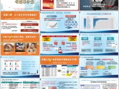 灵魂三问从医学角度来说健康风险治疗现状案例理念专题16页.pptx 