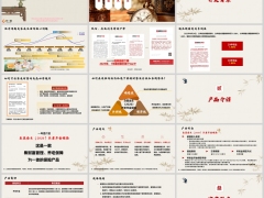 合众众盈金生2026养老年金背景产品介绍健康服务案例32页.pptx 