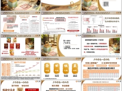 新华盛世恒盈背景理念产品特色利益概览解析案例37页.pptx