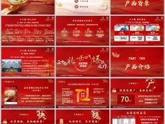 新华盛世荣耀庆典版产品背景特色基本信息介绍服务权益43页.pptx