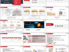 国华鸿瑞福分红型背景产品介绍客群案例运营规则32页.pptx 