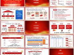 太平洋岁优保2025产品亮点形态投保案例五步销售逻辑24页.pptx  