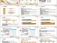 工银安盛鑫如意25B产品概述介绍案例演示相关说明18页.pptx 
