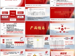 国寿鸿安宝鸿耀一生产品特点养老社区权益服务介绍28页.pptx 