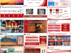 中国人寿公司品牌实力分红可靠盈利能力风险管理能力16页.pptx 