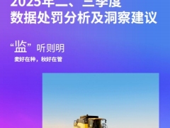 金融业监管2025年二三季度数据处罚分析及洞察建议19页.pdf 