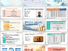 人民人寿花样年华岁悦鎏金锦绣人生产品特点简介28页.pptx 