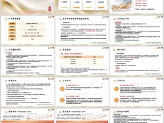 工银安盛鑫福金分红型产品概述介绍案例演示相关说明23页.pptx 