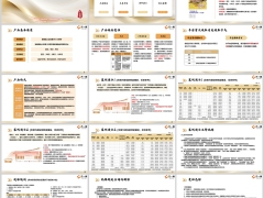 工银安盛鑫得福分红型产品概述介绍案例演示相关说明18页.pptx 