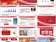 分红险发展现状基础知识红利分配方式客户利益30页.pptx 