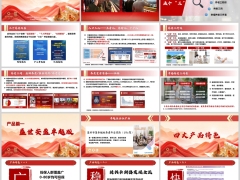 新华盛世安盈卓越版四大产品特色一单达鑫模型产品利益27页.pptx 