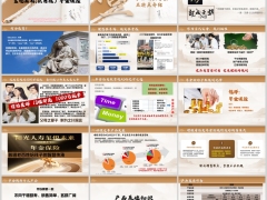 阳光玺悦未来庆典版背景产品基本形态增值服务29页.pptx 