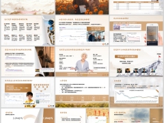 养老保险财富管理以房存款国债黄金股票基金养老工具分析20页.pptx 