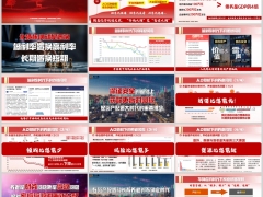 两大时代下家庭风险财富规划解析与分红险配置策略17页.pptx 