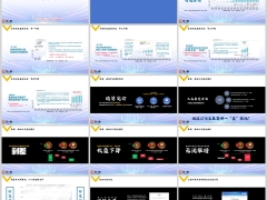 寿险发展历史保险公司盈利模式行业风险报行合一31页.pptx 