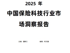 2025年中国保险科技行业市场洞察报告30页.pdf 