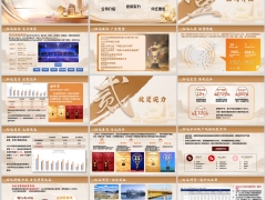 阳光人寿公司介绍投资实力分红险来源运作原理28页.pptx 