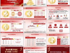 新华盛世荣耀卓越版五大产品特色演练通关要点15页.pptx 