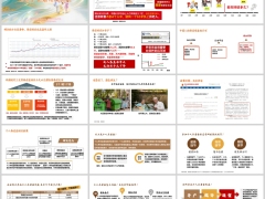 老龄化程度加深养老准备方式个人养老金相关税优政策15页.pptx 