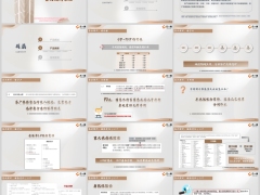 泰康惠嘉保2026产品概述条款解析亮点总结产品费率规则案例32页.pptx 