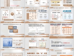 泰康惠嘉保2026重大疾病保险产品特点宣导解析24页.pptx 