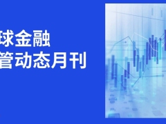 全球金融监管动态月刊第八期9月1日至9月30日31页.pdf 