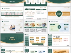 陆家嘴国泰泰给利2.0分红型开发背景产品特色责任案例33页.pptx 