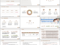 国华步步瑞盈B款背景产品介绍案例演示常见问题27页.pptx 