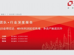 保险行业3Q25业绩综述NBV和利润延续高增净资产触底回升26页.pdf 