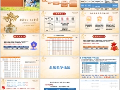 新华新产品矩阵公司介绍宏泰世家福盛世家添翼版简介29页.pptx 