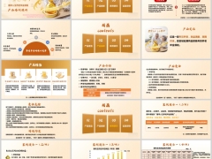 新华惠享人生产品理念解析案例演示运营规则23页.pptx 