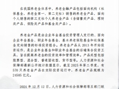 2025年第三季度养老金融产品市场数据31页.pdf 