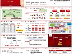 合众众盈金生众稳金玺2026分红型产品优势客群基本形态20页.pptx 