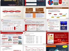 工银安盛鑫佑祥禄分红型产品特色亮点案例异议处理30页.pptx