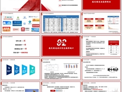 惠民保优劣分析及保障缺口补充方法问题答疑22页.pptx 