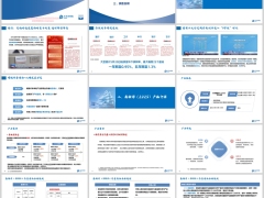太保鑫相伴2025终身寿险开发背景产品介绍销售说明22页.pptx 