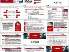 爱心人寿映山红5.0心喜版分红型产品介绍运营规则营销18页.pptx 